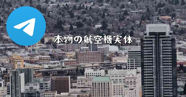 本物の航空機実体
