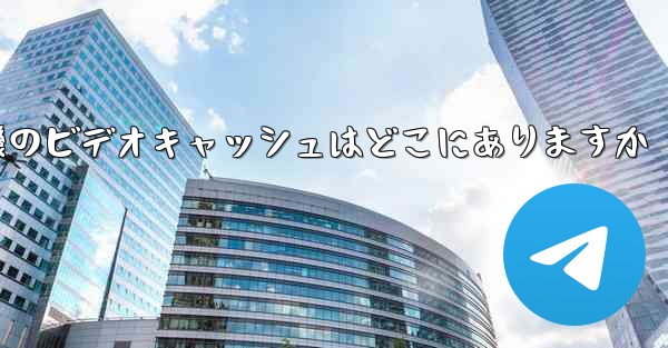紙飛行機のビデオキャッシュはどこにありますか