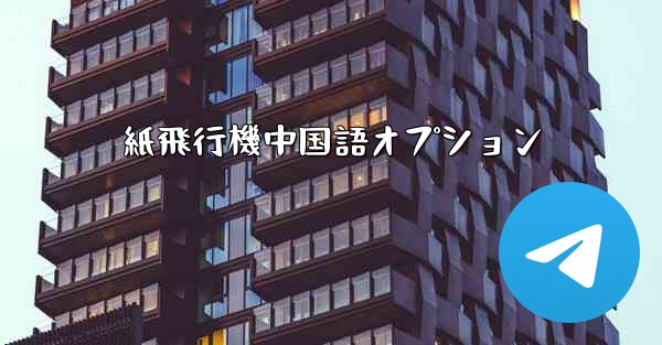 紙飛行機中国語オプション