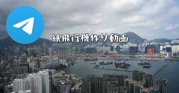 紙飛行機作り動画