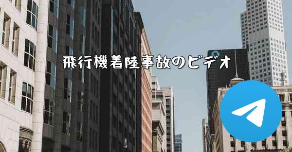 飛行機着陸事故のビデオ