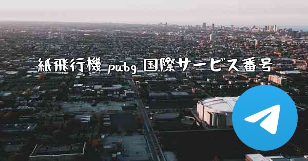 <b>紙飛行機 pubg 国際サービス番号</b>
