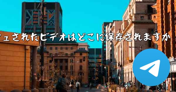 Paper Plane のキャッシュされたビデオはどこに保存されますか