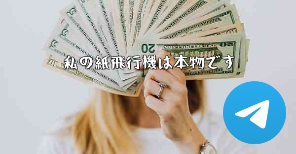 <b>私の紙飛行機は本物です</b>