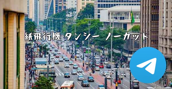 紙飛行機 タンシー ノーカット