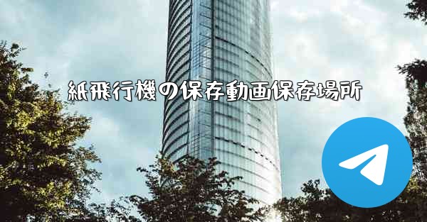 紙飛行機の保存動画保存場所