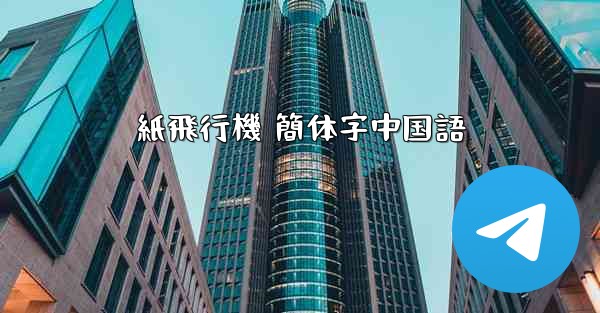 紙飛行機 簡体字中国語