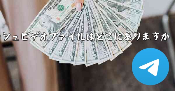 Paper Plane のキャッシュビデオファイルはどこにありますか