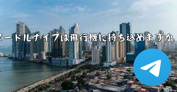 <b>ヌードルナイフは飛行機に持ち込めますか</b>