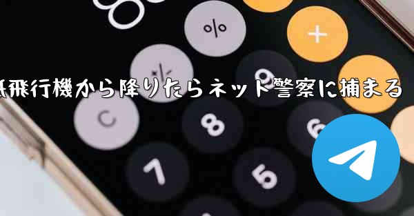 紙飛行機から降りたらネット警察に捕まる