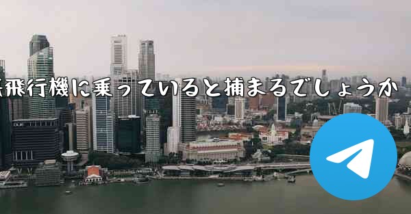 中国で紙飛行機に乗っていると捕まるでしょうか