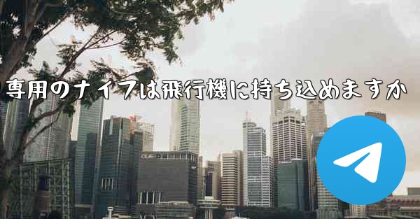 麺切り専用のナイフは飛行機に持ち込めますか