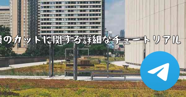 ティッシュペーパー飛行機のカットに関する詳細なチュートリアル