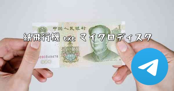 紙飛行機 txt マイクロディスク