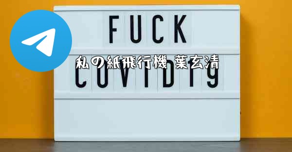 私の紙飛行機 葉玄清