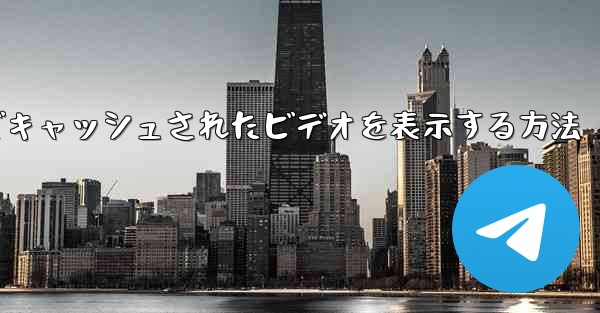 Paper Plane でキャッシュされたビデオを表示する方法