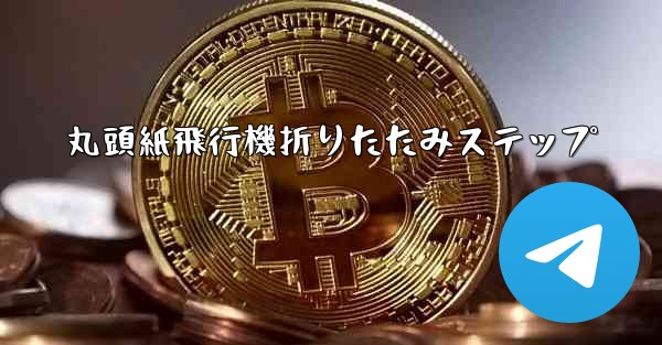 丸頭紙飛行機折りたたみステップ