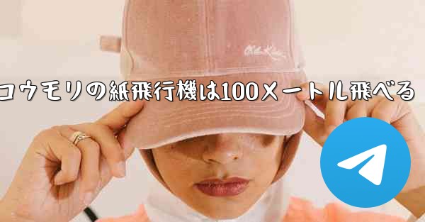 <b>コウモリの紙飛行機は100メートル飛べる</b>