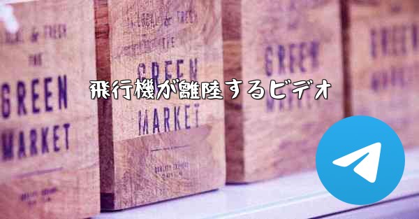飛行機が離陸するビデオ
