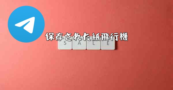 <b>保存された紙飛行機</b>