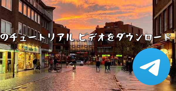 Android 携帯電話で航空機のチュートリアル ビデオをダウンロード